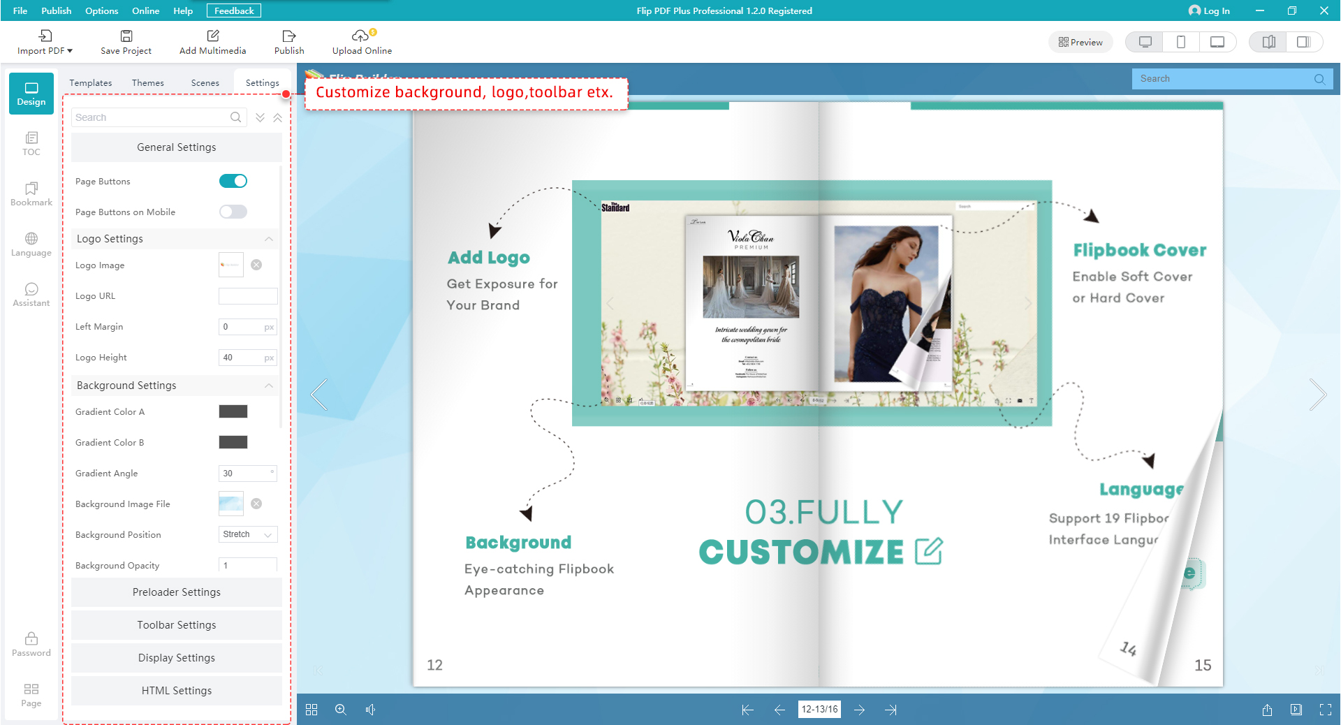 Customize flipbook within PDF to flip book software