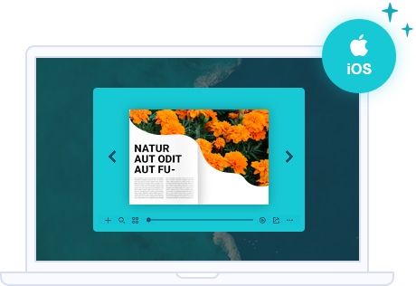 Publish PDF to flipbook in APP format with PDF to flip book converter
