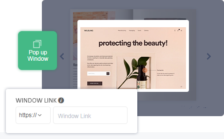 Pop up a window when reading online flipbook created with PDF to flip book software