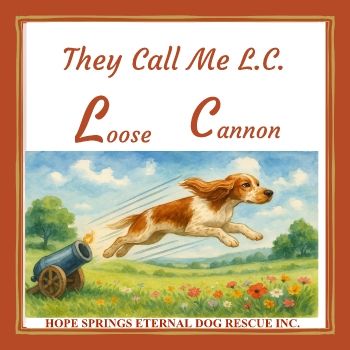 They call me LC - Loose Cannon