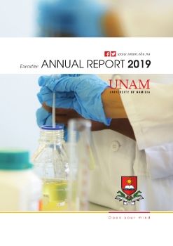 UNAM Executive Annual Report 2019