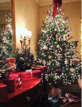 Xmas flipbook janet 2023