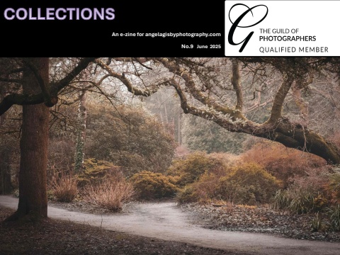 C: 09: E-zine Angela Gisby Edition 9