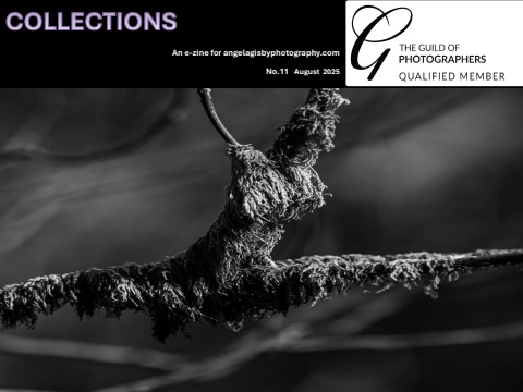 C: 11: E-zine Angela Gisby Edition 11