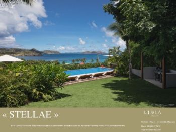 Stellae + Tortue + Over