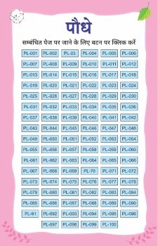 Jharkhand Plants 08-05