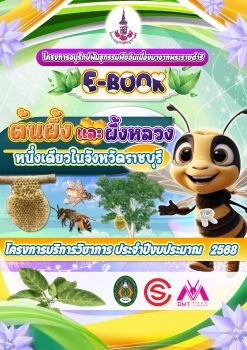 E-Book-KoompassiaExcelsaTree