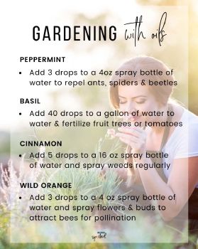 Gardening with Oils