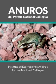Anuros del Parque Nacional Calilegua